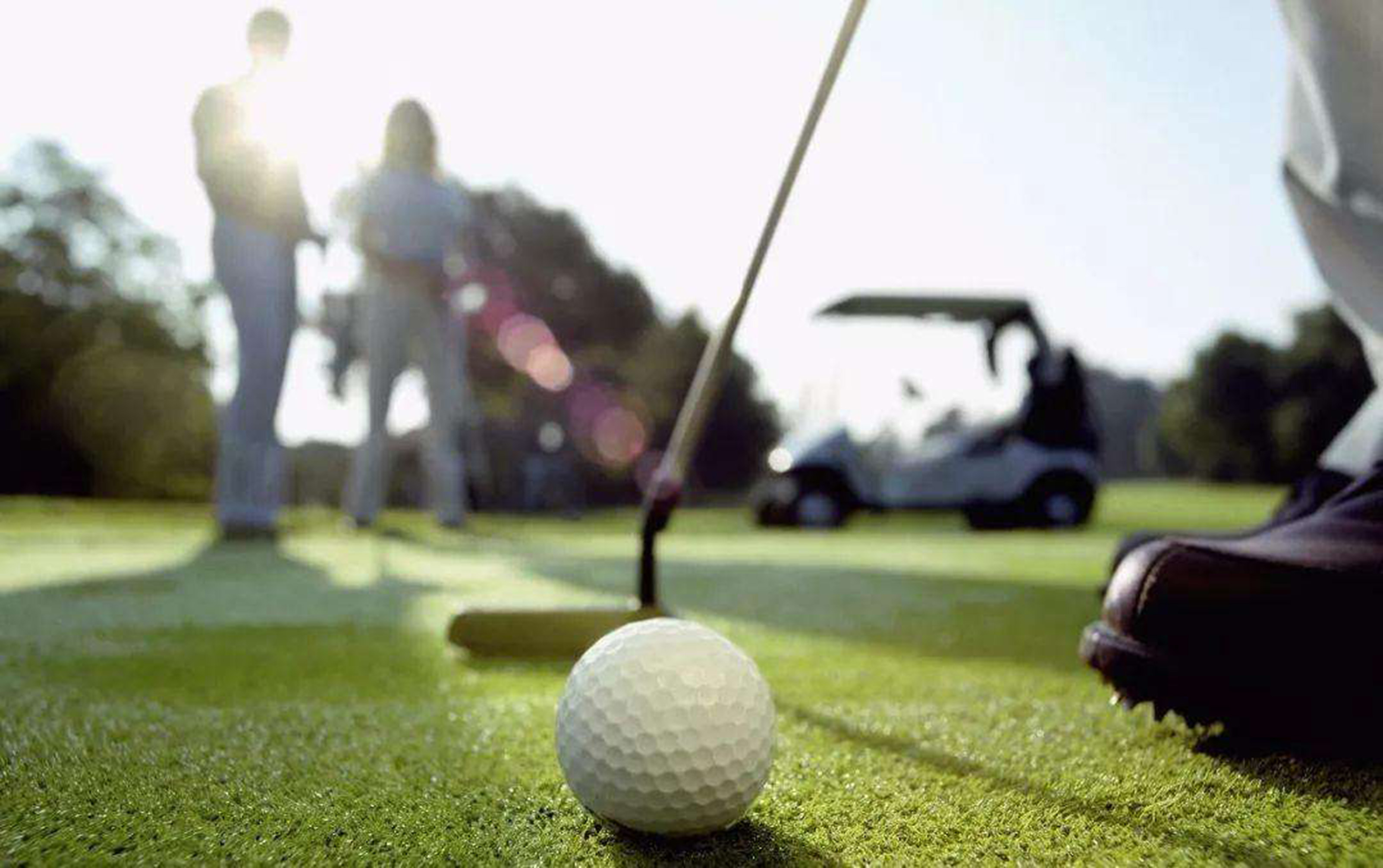 TZT artistic putter finish